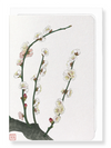 Ezen Designs - Plum blossom - Greeting Card - Front