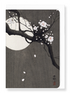 Ezen Designs - Plum blossom and full moon - Greeting Card - Front