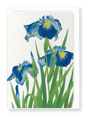 Ezen Designs - Blue iris - Greeting Card - Front