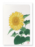 Ezen Designs - Sunflower - Greeting Card - Front