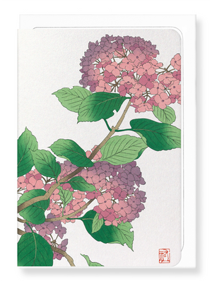 Ezen Designs - Hydrangea - Greeting Card - Front