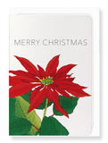 Ezen Designs - Christmas (poinsettia) - Greeting Card - Front