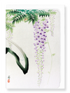 Ezen Designs - Wisteria - Greeting Card - Front