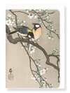 Tit birds on cherry branch (Pack of 8 cards)