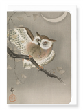 Ezen Designs - Long-eared owl - Greeting Card - Front