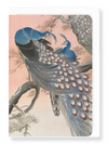 Ezen Designs - Couple of peacocks - Greeting Card - Front