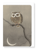 Long-eared owl on tree branch (Pack of 8 cards)