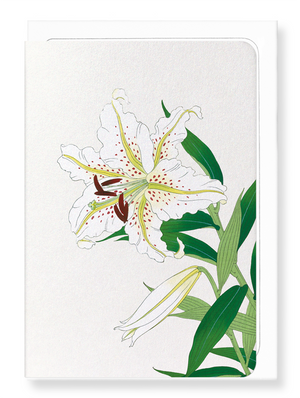 Ezen Designs - Lily - Greeting Card - Front