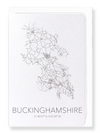 Buckinghamshire cutout (Pack of 8 cards)