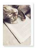 Ezen Designs - Cat and book - Greeting Card - Front