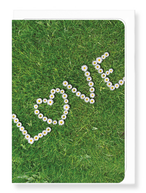 Ezen Designs - Daisy of love - Greeting Card - Front