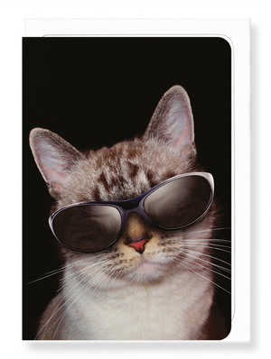 Ezen Designs - Cool cat - Greeting Card - Front