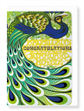 Ezen Designs - Congratulations peacock - Greeting Card - Front