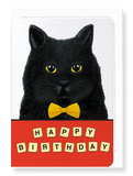 Ezen Designs - Birthday scrabble cat - Greeting Card - Front