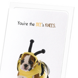 The bee's knees (Pack of 8 cards)