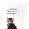 Wet pussy (Pack of 8 cards)