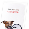 A barking birthday (Pack of 8 cards)