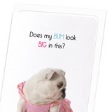 Big bum (Pack of 8 cards)