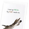 I must go meow (Pack of 8 cards)