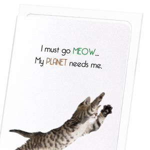 I must go meow (Pack of 8 cards)