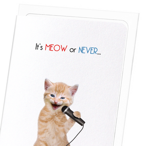 It's meow or never (Pack of 8 cards)