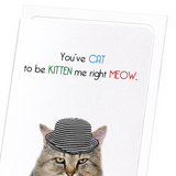 Cat to be kitten me (Pack of 8 cards)