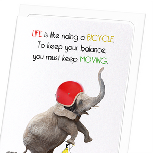 Elephant and bicycle (Pack of 8 cards)