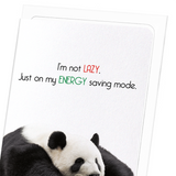 I'm not lazy  (Pack of 8 cards)