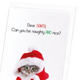 Naughty and nice (Pack of 8 cards)