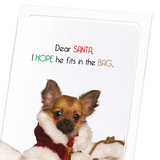 Fit in Santa's bag (Pack of 8 cards)