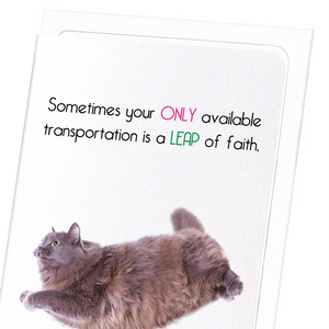 Leap of faith  (Pack of 8 cards)