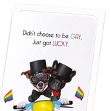 Lucky and gay (Pack of 8 cards)