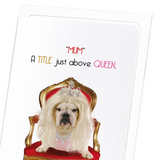 Mum above all queens (Pack of 8 cards)