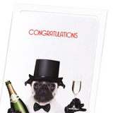 Congratulations from mr pug (Pack of 8 cards)