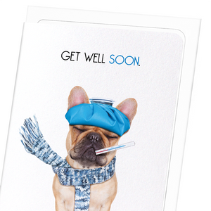 Get well soon frenchie  (Pack of 8 cards)