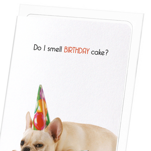 Do I smell birthday cake? (Pack of 8 cards)