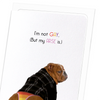 I'm not gay (Pack of 8 cards)