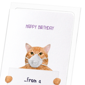 Birthday corona cat (Pack of 8 cards)