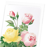 Yellow and pink rose (Pack of 8 cards)