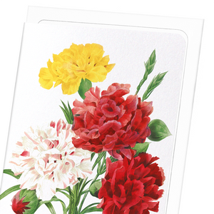 Carnation (Pack of 8 cards)