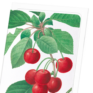 Cherry (Pack of 8 cards)