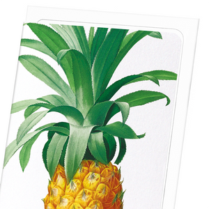 Pineapple (Pack of 8 cards)