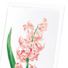 Oriental hyacinth (Pack of 8 cards)