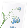 Forget me not flower (Pack of 8 cards)