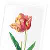 Tulip (Pack of 8 cards)