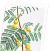 Sweet acacia (Pack of 8 cards)