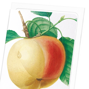 Apple (calville blanc) (Pack of 8 cards)