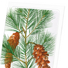 White pine (Pack of 8 cards)