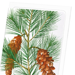 White pine (Pack of 8 cards)