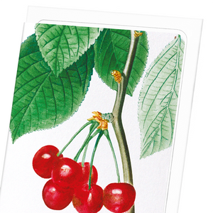 Cherries (Pack of 8 cards)